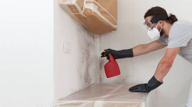 Professional Black Mold Remediation technician working in Wanaque, NJ